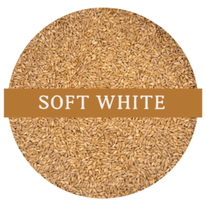Soft White Wheat (Whole Wheat Berries)
