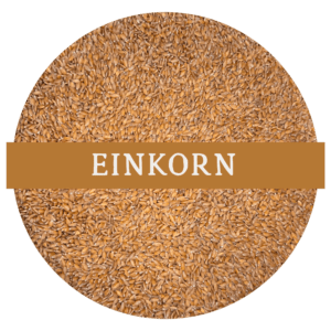 Einkorn (Whole Wheat Berries)