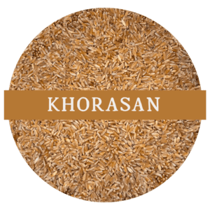 Khorasan (Whole Wheat Berries)