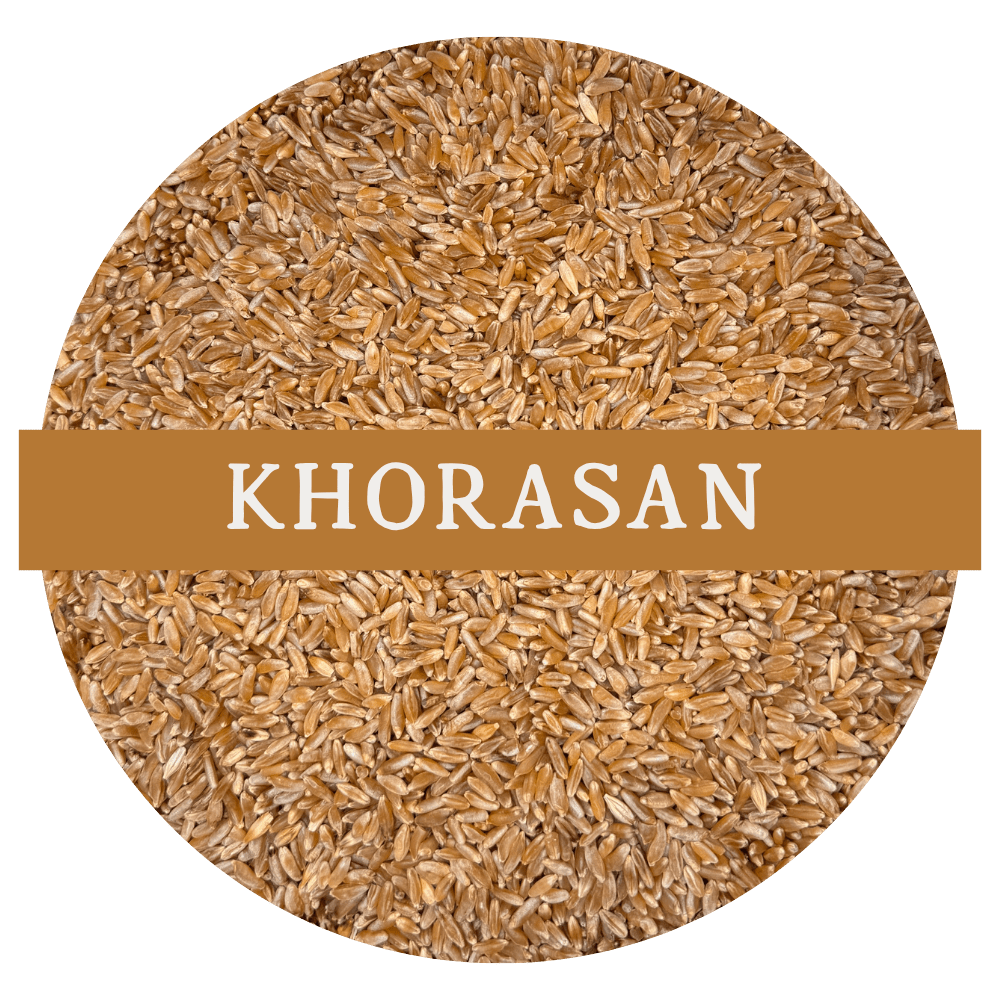Khorasan (Whole Wheat Berries)