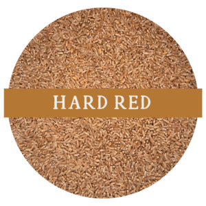 HARD RED WHEAT (WHOLE WHEAT BERRIES)