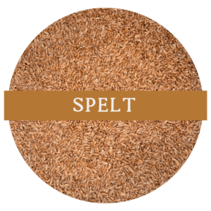 Spelt (Whole Wheat Berries)