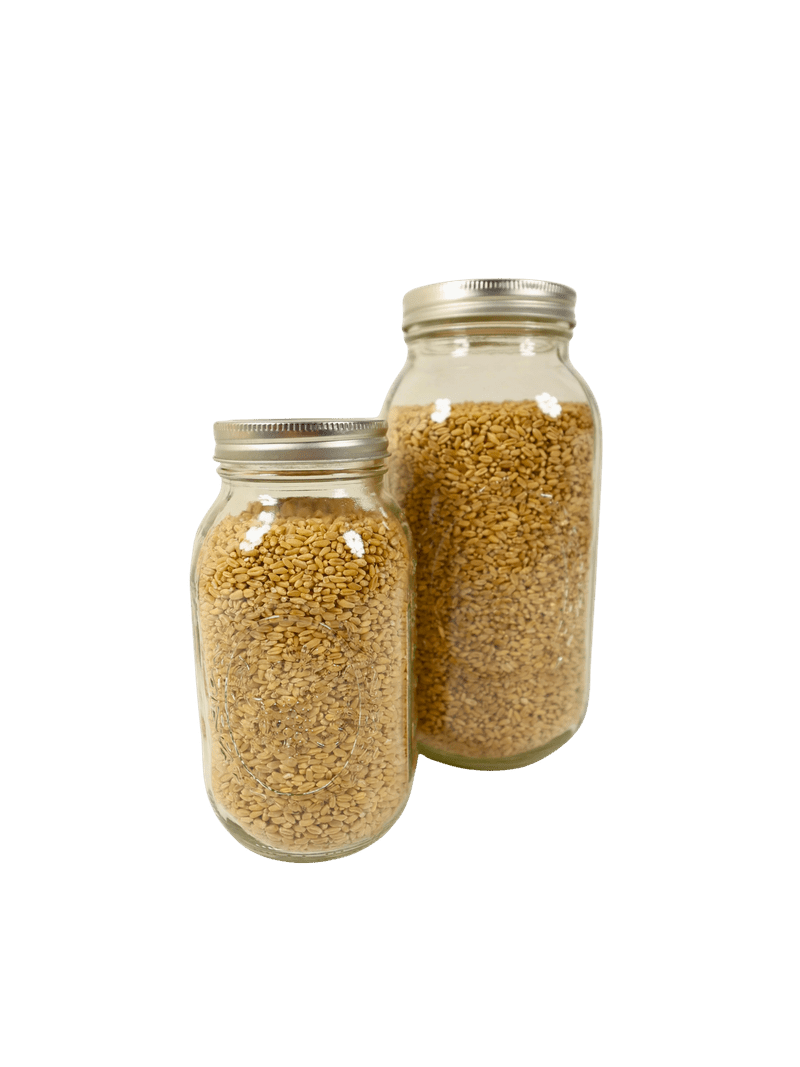 Hard Red Wheat Fresh Milled Flour - Image 5