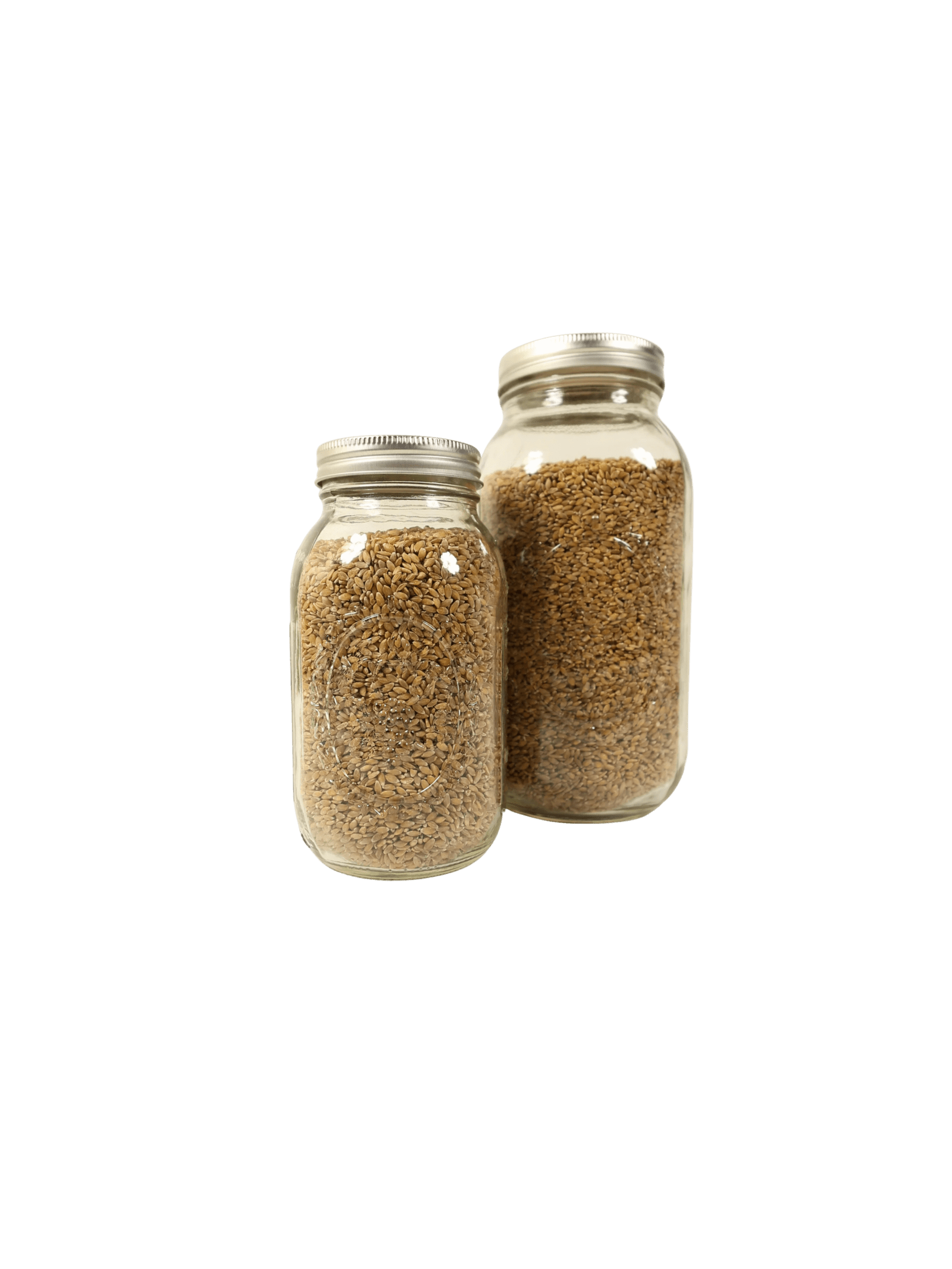 Fresh-Milled Einkorn Flour – Organic Whole Wheat Ancient Grain for Healthy Baking - Image 3