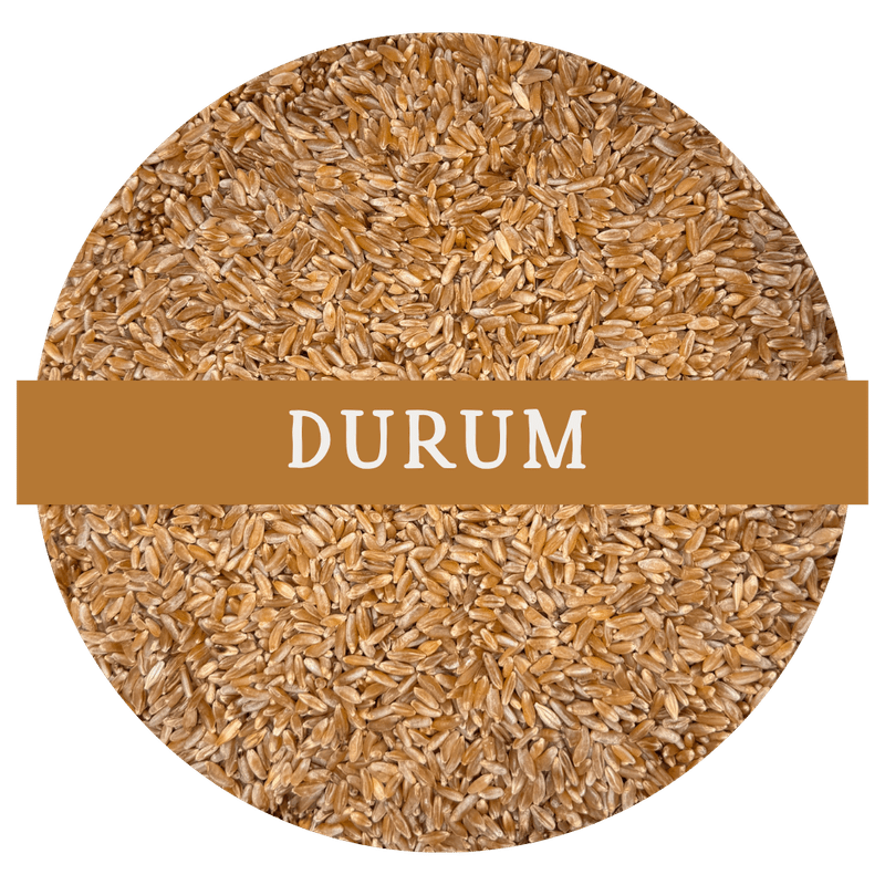 Durum (Whole Wheat Berries)