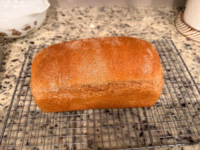 Spelt Sandwich Bread