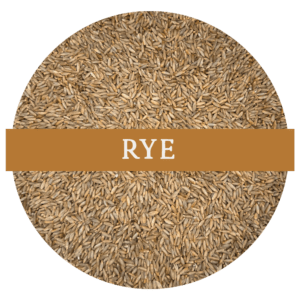 Rye (Whole Wheat Berries)