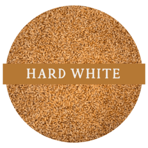 Hard White Wheat (Whole Wheat Berries)