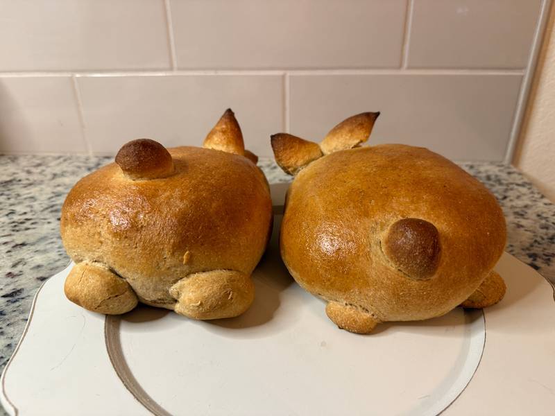 HARD WHITE WHEAT FLOUR - Image 5