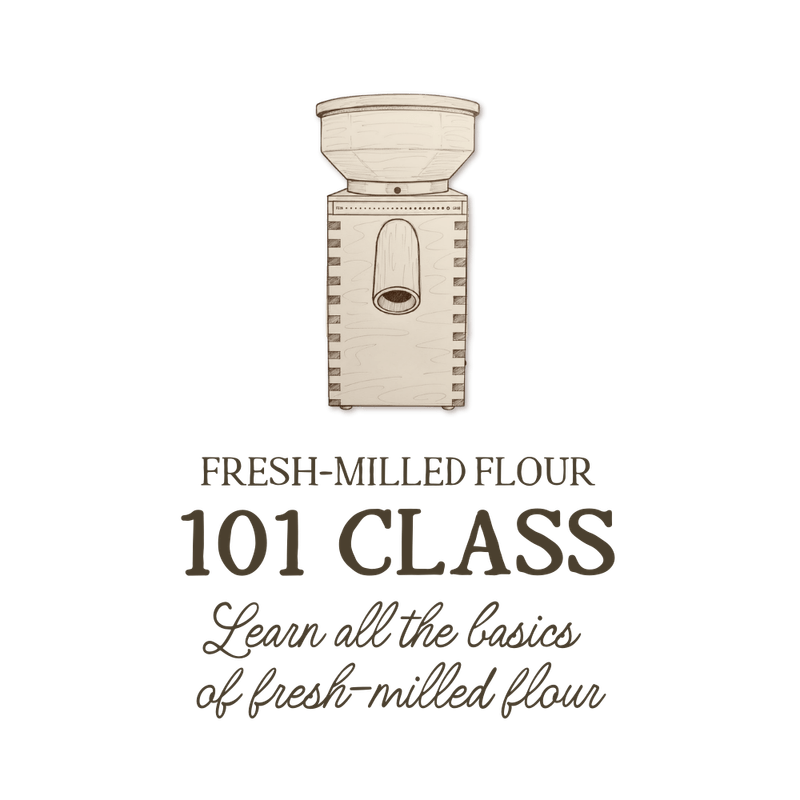 ntroductory baking class logo for learning whole grain milling and working with the best whole grains.