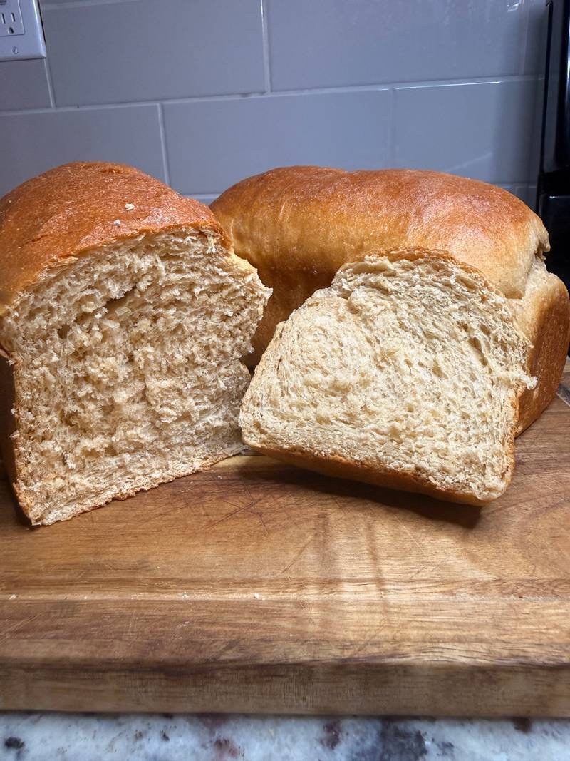 Durum Wheat Flour - Image 3
