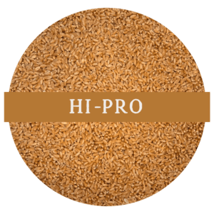 HARD WHITE WHEAT | HI-PRO (WHOLE WHEAT BERRIES)